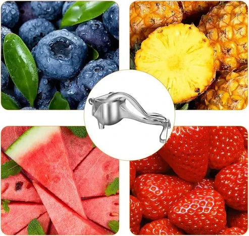 JuiceMaster™ Exprimidor metálico profesional